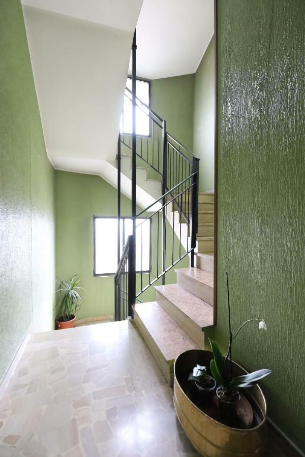 Merula Dream House コルシコ エクステリア 写真